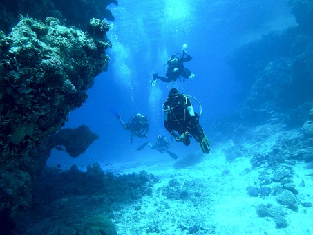 Diving Activity