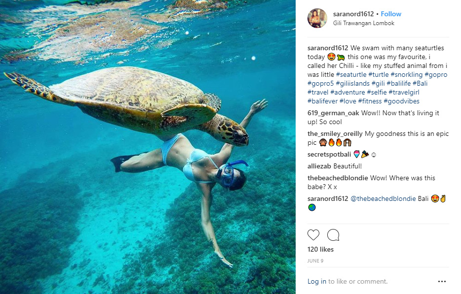 Sea Turtle Gili T - 10 Best Instagram Photos to Take on Gili Trawangan