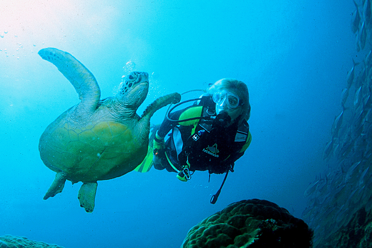 Overcoming the Fear of Scuba Diving