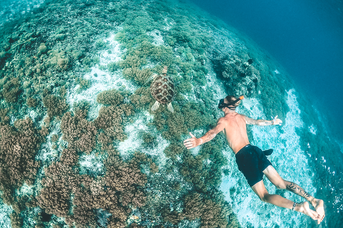 Gili Trawangan: A Paradise for Snorkelers