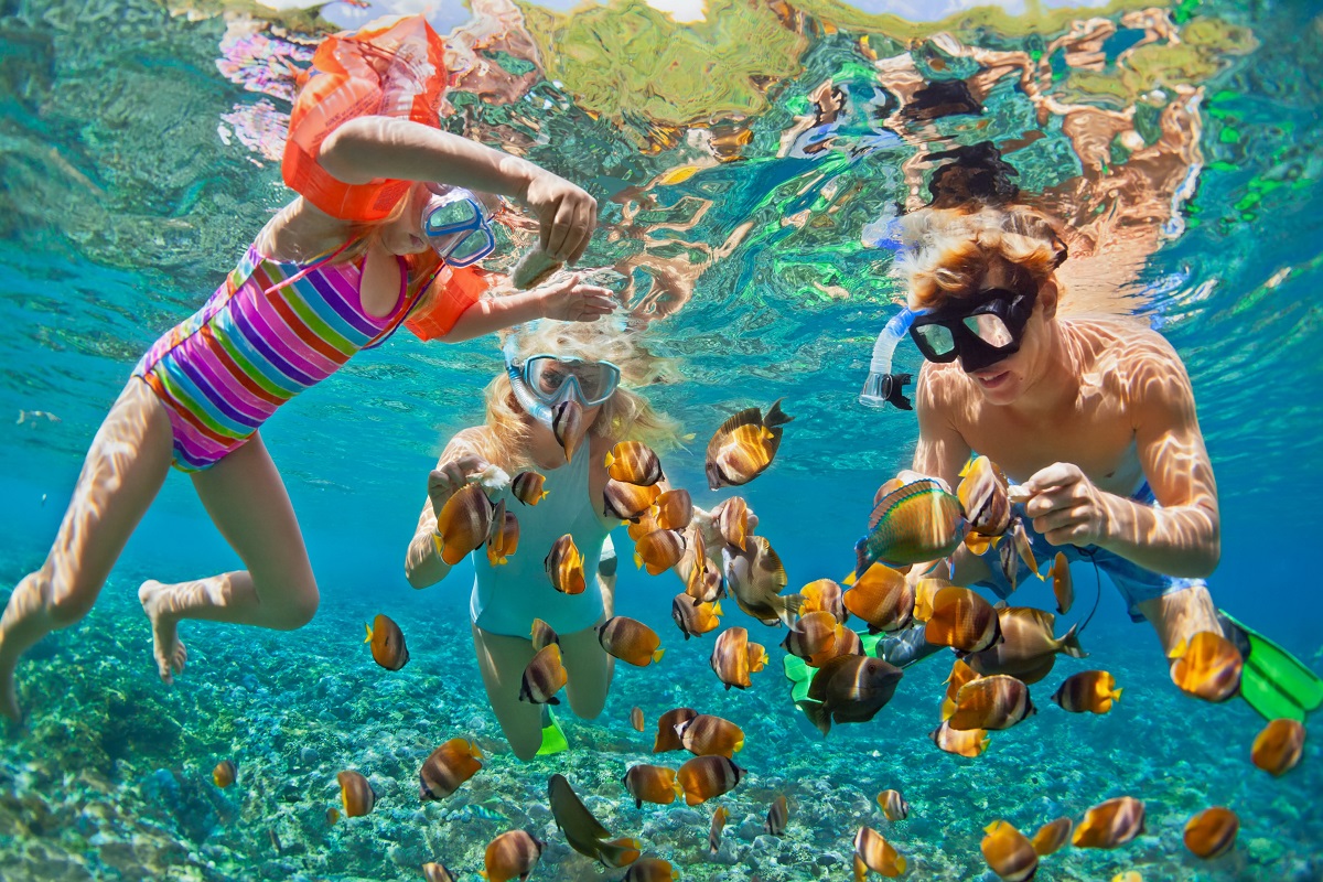 A Beginners Guide to Snorkelling Gili Trawangan