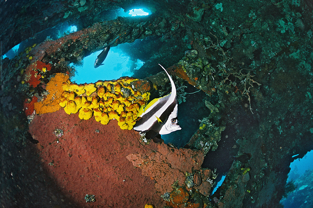 Bounty Wreck Dive Site in Gili Trawangan, Indonesia