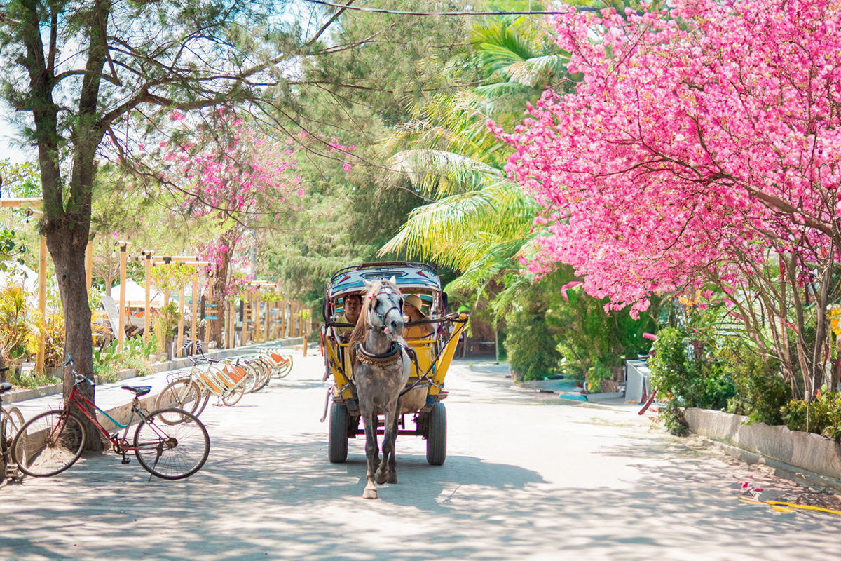 Getting Around Gili Trawangan